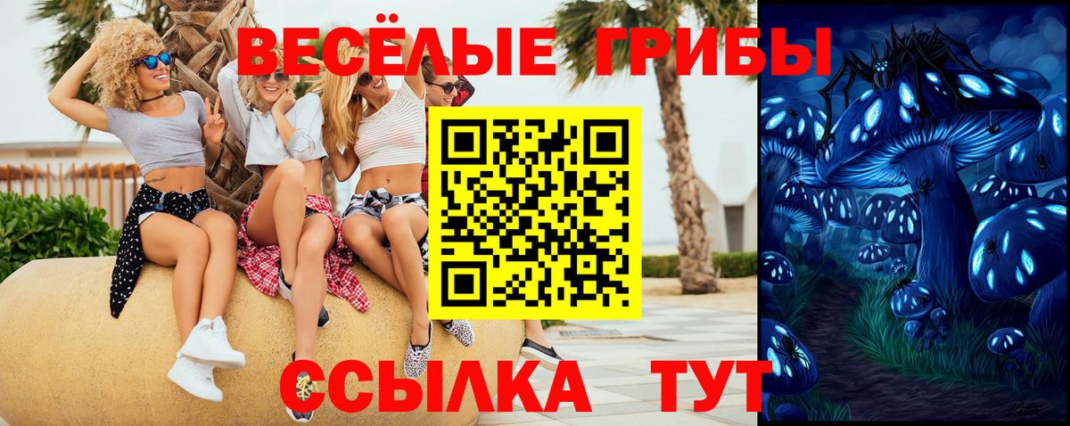 Псилоцибиновые грибы Psilocybine cubensis Юрга