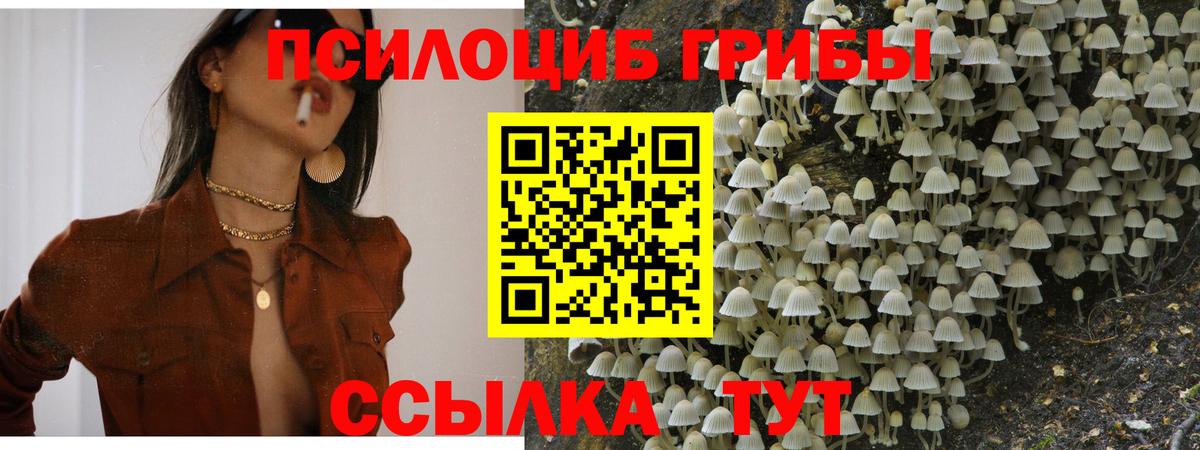 Псилоцибиновые грибы прущие грибы  Вход с VPN  Юрга 